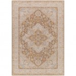 Surya Avant Garde Rug 2' X 3' In Medium Gray, Dark Brown