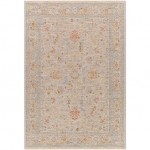 Surya Avant Garde Medium Gray, Taupe Rug 5' X 7'5"