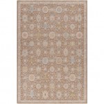 Surya Avant Garde Dark Brown Rug 10' X 14'