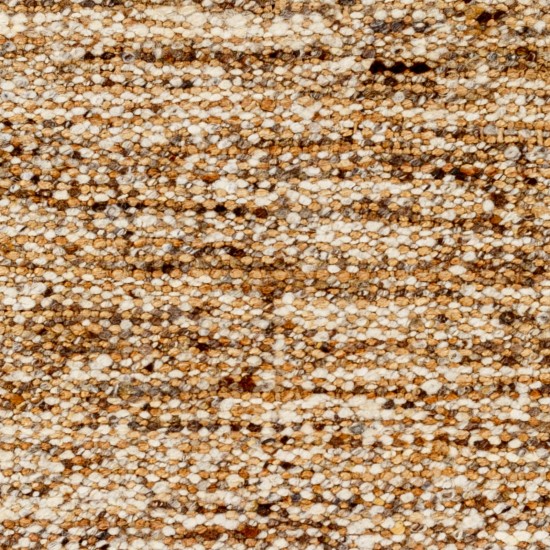 Surya Aylin Rug 10' X 14' - Tan