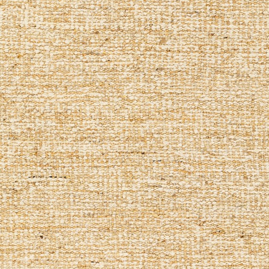 Surya Aylin Tan Rug 10' X 14'