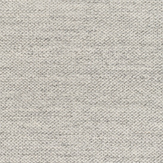 Surya Azalea Rug 10' X 14' Light Gray