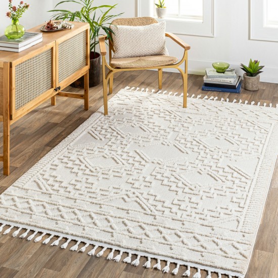 Surya Azilal Azi-2312 Ivory Rug 5'3" X 7'