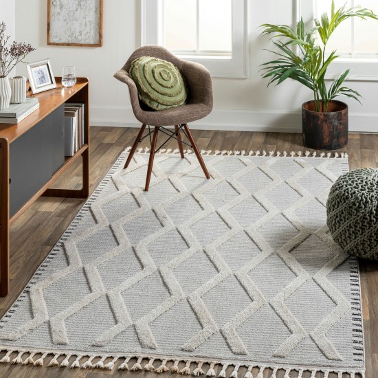 Surya Azilal Gray Rug 2'7" X 7'3"