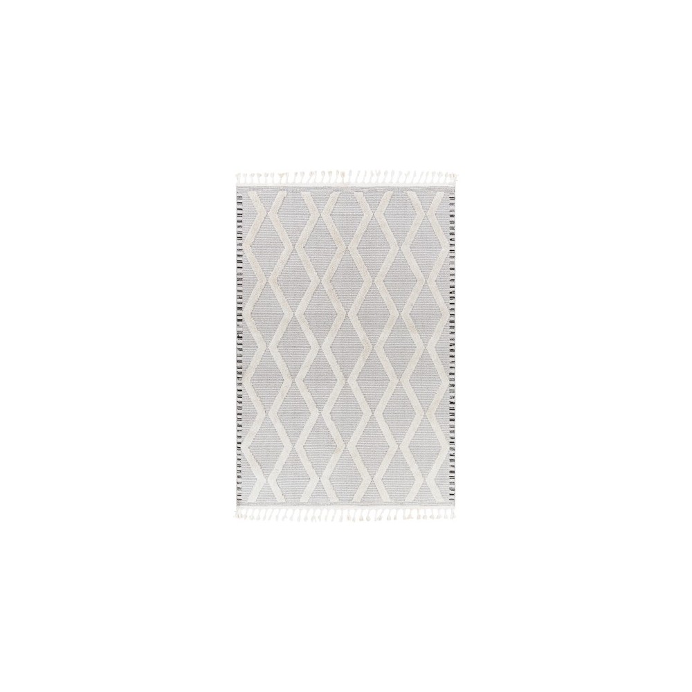 Surya Azilal Gray Rug 5'3" X 7' Surya Azilal Gray Rug 5'3" X 7'