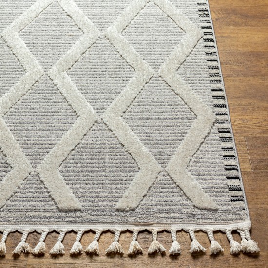 Surya Azilal Gray Rug 5'3" X 7'