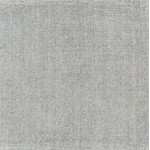 Surya Bari Gray Rug 10' X 14'