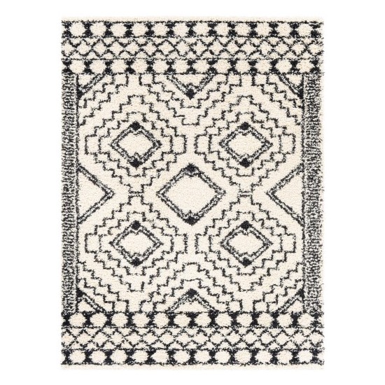 Surya Beni Shag Rug 5'3" X 7' - Black, Cream