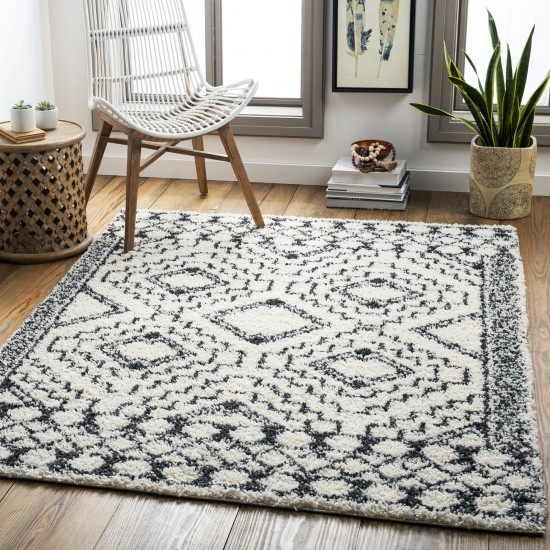 Surya Beni Shag Rug 6'7" X 9' - Black, Cream