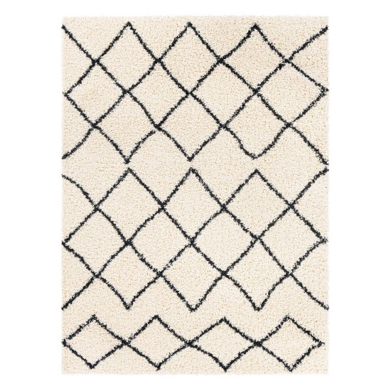 Surya Beni Shag Rug 5'3" X 7' - Black & Cream