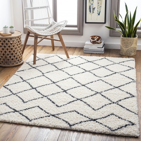 Surya Beni Shag Rug 5'3" X 7' - Black & Cream