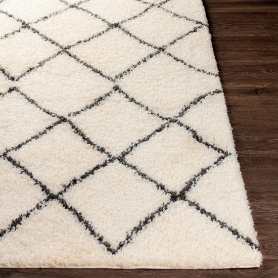 Surya Beni Shag Rug 6'7" X 9' - Black & Cream