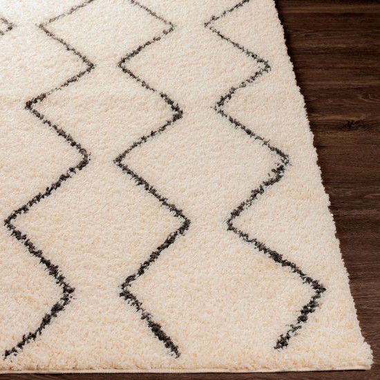 Surya Beni Shag Rug 2'7" X 7'3" Black