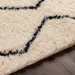 Surya Beni Shag Rug 2'7" X 7'3" Black