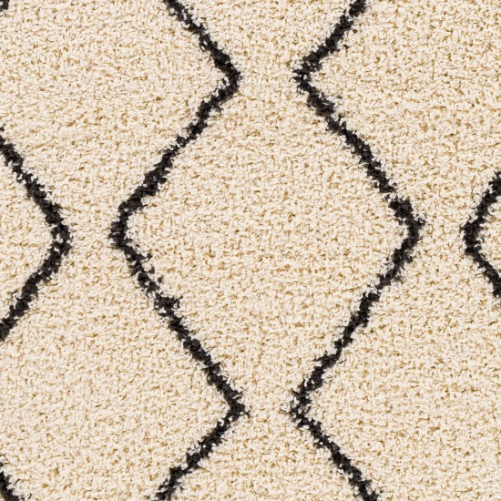 Surya Beni Shag Rug 2'7" X 7'3" Black