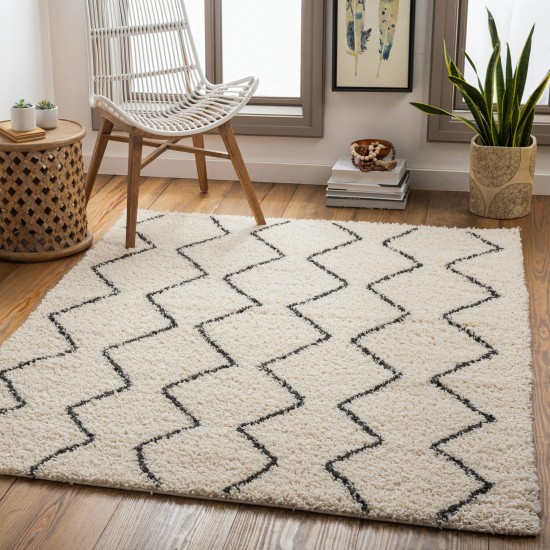 Surya Beni Shag Rug 5'3" X 7' Black