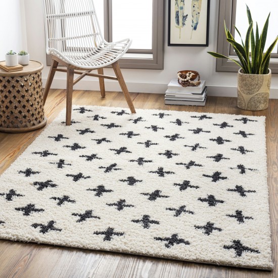 Surya Beni Shag Rug 5'3" X 7' (Black)