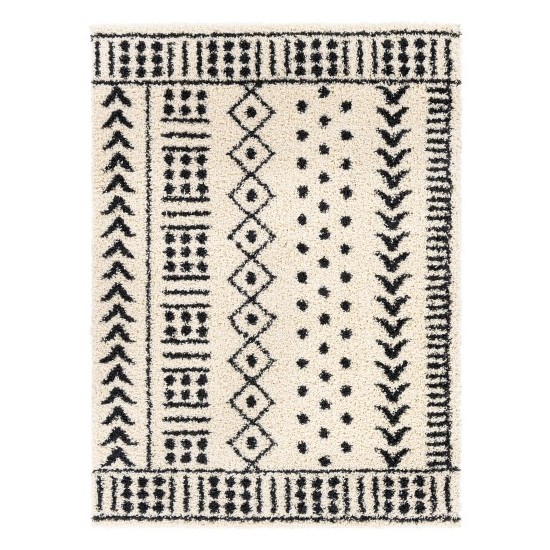 Surya Beni Shag Rug 5'3" X 7' In Black