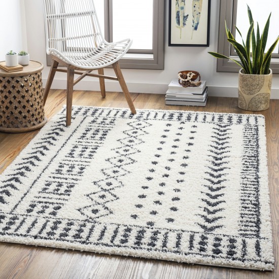 Surya Beni Shag Rug 5'3" X 7' In Black