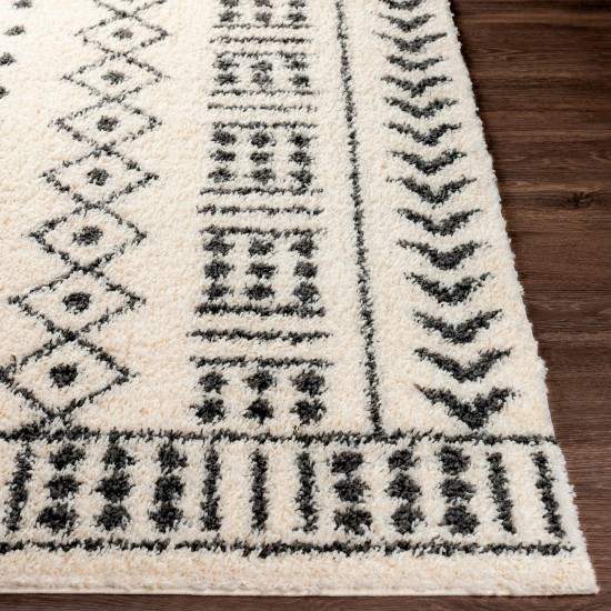 Surya Beni Shag Rug 6'7" X 9' In Black