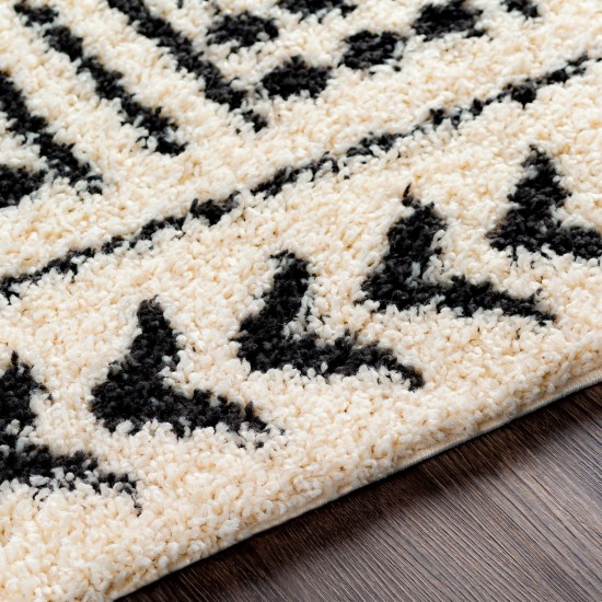 Surya Beni Shag Rug 6'7" X 9' In Black