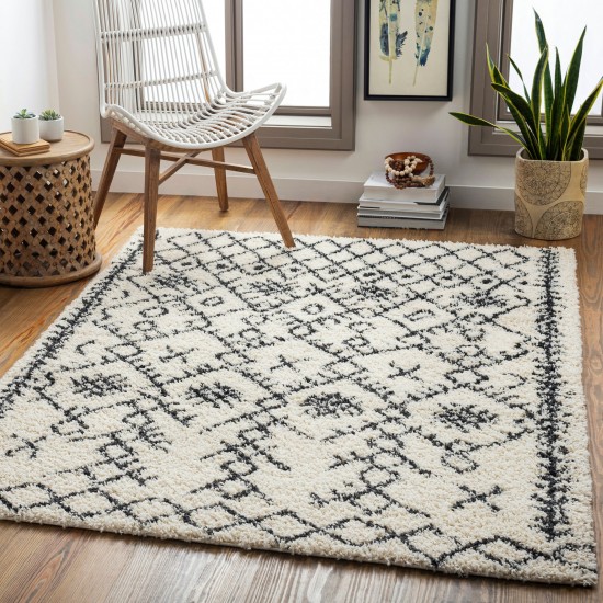 Surya Beni Shag Rug 5'3" X 7' (Black & Cream)