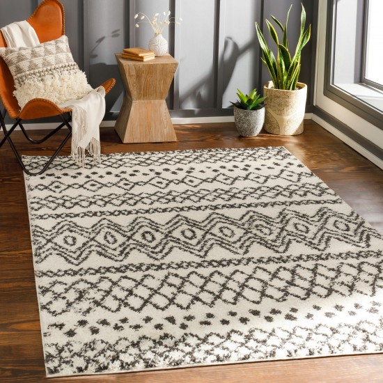 Surya Beni Shag Rug 5'3" X 7' (Black, Cream)