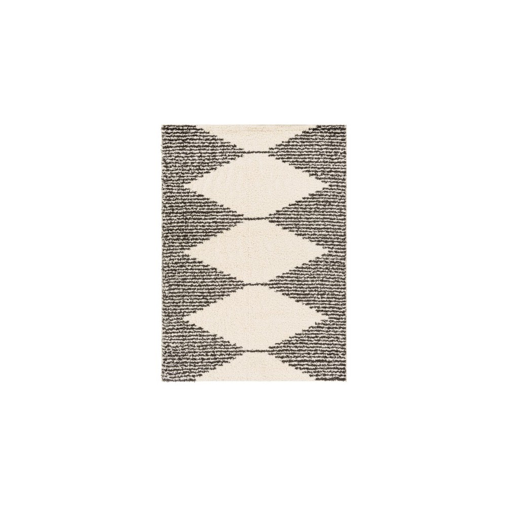 Surya Beni Shag Black, Cream Rug 5'3" X 7'