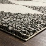 Surya Beni Shag Black, Cream Rug 5'3" X 7'