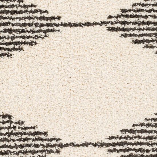 Surya Beni Shag Black, Cream Rug 5'3" X 7'