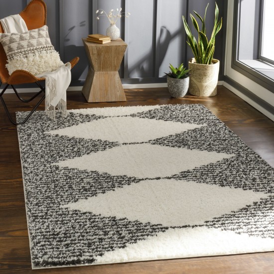 Surya Beni Shag Black, Cream Rug 6'7" X 9'