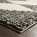 Surya Beni Shag Black, Cream Rug 6'7" X 9'