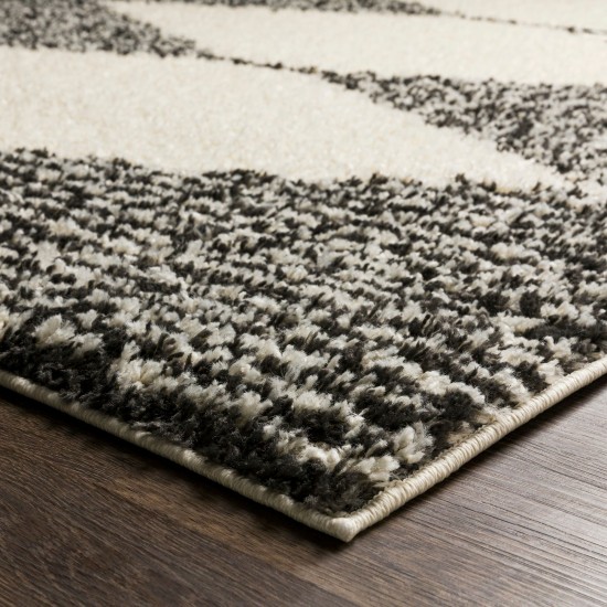 Surya Beni Shag Black, Cream Rug 6'7" X 9'