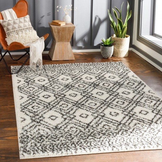 Surya Beni Shag Rug 5'3" X 7' In Black & Cream