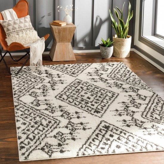 Surya Beni Shag Rug 5'3" X 7' In Black, Cream