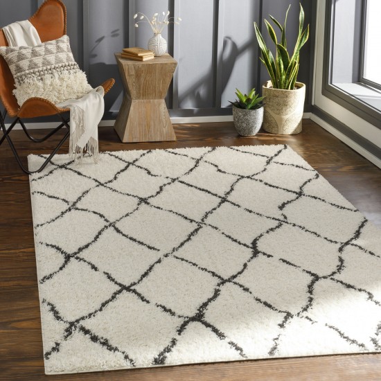 Surya Beni Shag Black And Cream Rug 5'3" X 7'