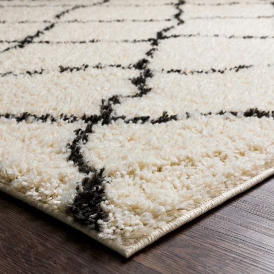 Surya Beni Shag Black And Cream Rug 7'10" X 10'