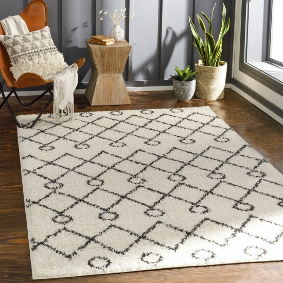 Surya Beni Shag Black / Cream Rug 5'3" X 7'