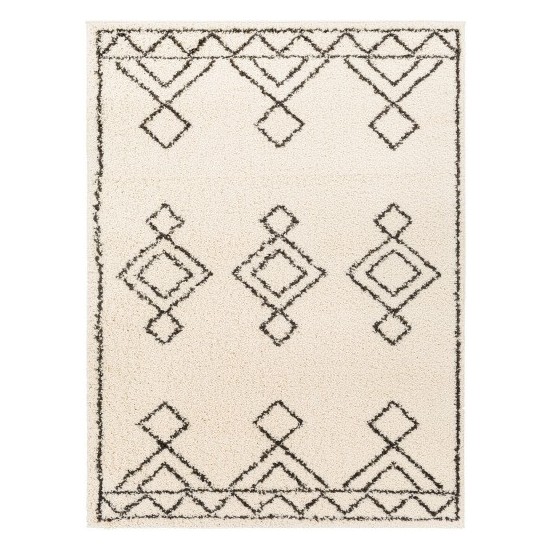 Surya Beni Shag Rug 5'3" X 7' - Black / Cream