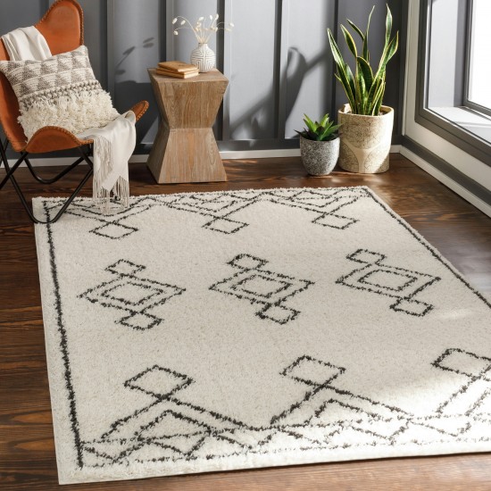 Surya Beni Shag Rug 5'3" X 7' - Black / Cream