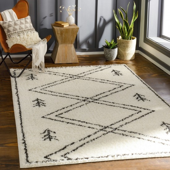 Surya Beni Shag Rug 5'3" X 7' (Black / Cream)