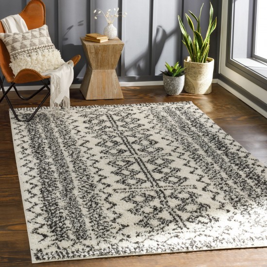 Surya Beni Shag Bsh-2317 Black Rug 6'7" X 9'