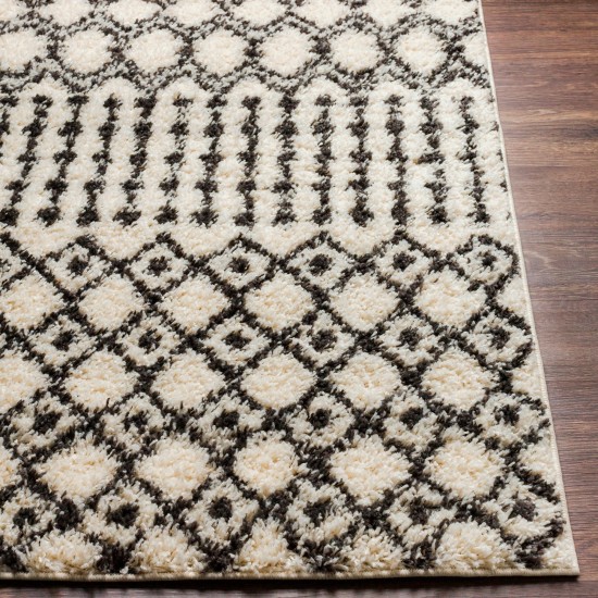 Surya Beni Shag Bsh-2319 Black Rug 7'10" X 10'
