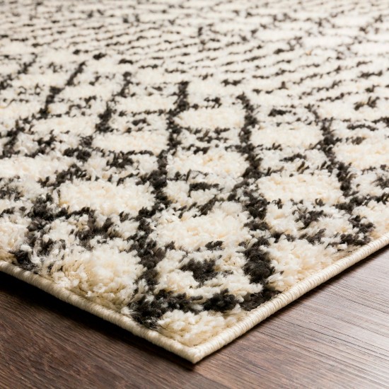 Surya Beni Shag Bsh-2319 Black Rug 7'10" X 10'