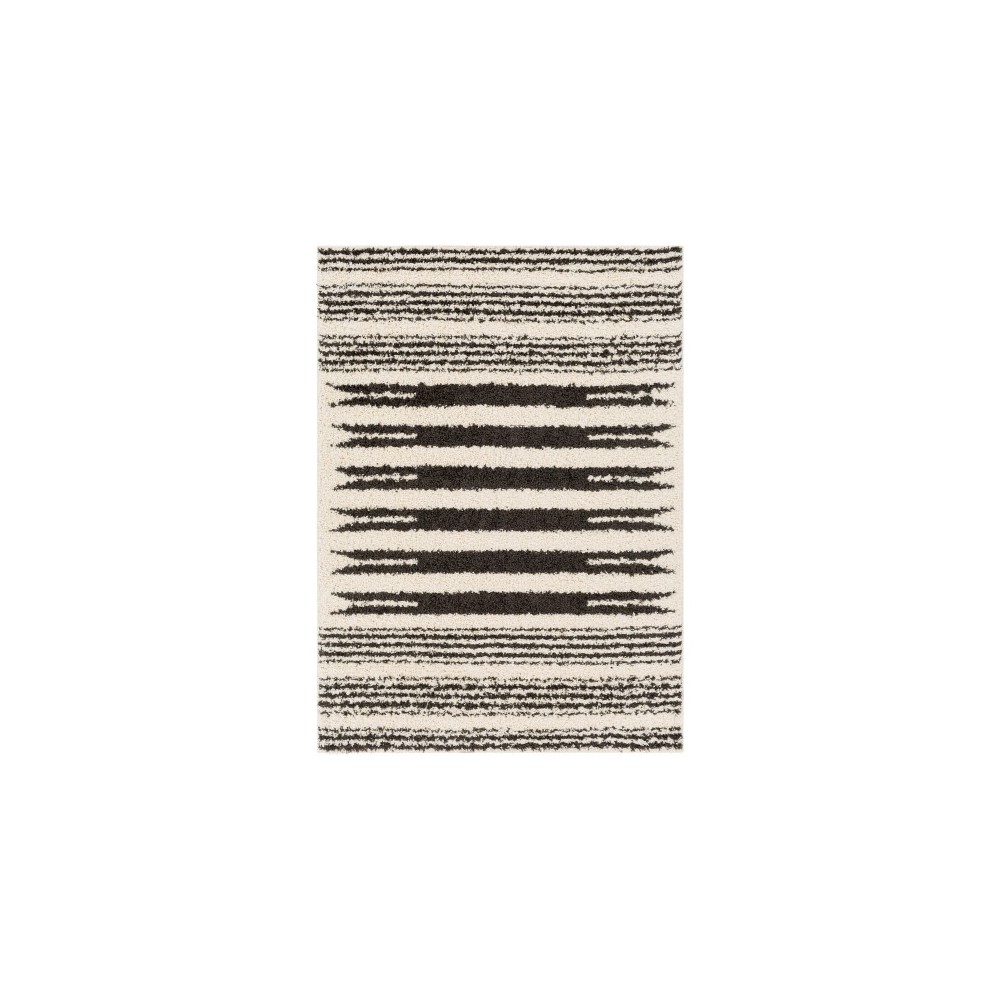Surya Beni Shag Bsh-2322 Black Rug 5'3" X 7' Surya Beni Shag Bsh-2322 Black Rug 5'3" X 7'