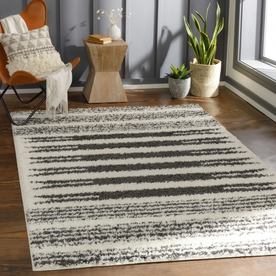 Surya Beni Shag Bsh-2322 Black Rug 5'3" X 7'