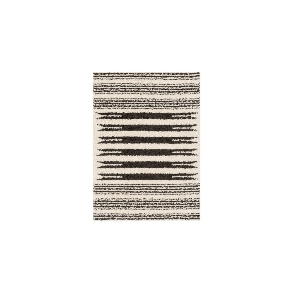 Surya Beni Shag Bsh-2322 Black Rug 6'7" X 9'