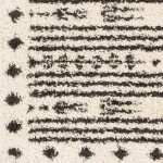 Surya Beni Shag Bsh-2325 Black Rug 2'7" X 7'3"