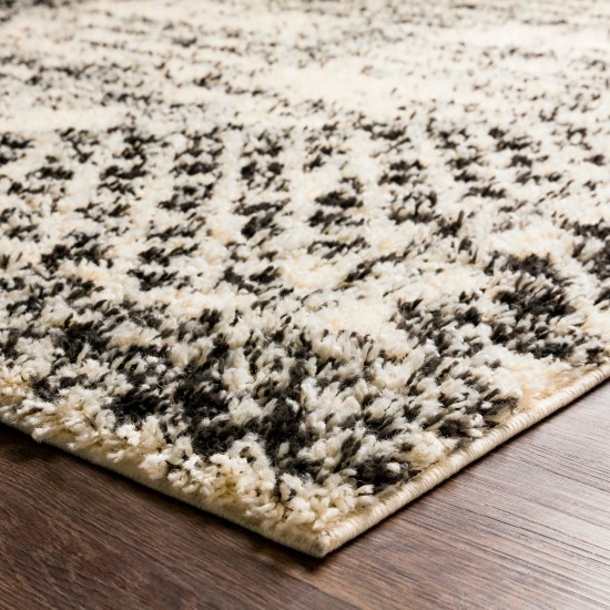 Surya Beni Shag Bsh-2330 Black Rug 2'7" X 7'3"
