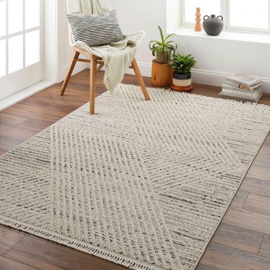 Surya Berlin Blr-2302 Rug 2'7" X 7'3"